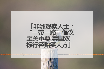 非洲观察人士：“一带一路”倡议至关重要 美国双标行径贻笑大方
