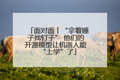 面对面丨“拿着锤子找钉子” 他们的开源模型让机器人能“上学”了