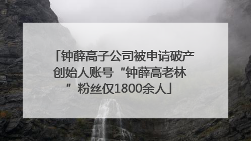 钟薛高子公司被申请破产 创始人账号“钟薛高老林”粉丝仅1800余人