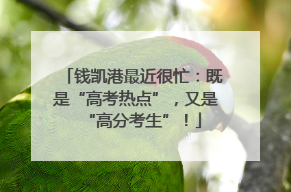 钱凯港最近很忙：既是“高考热点”，又是“高分考生”！