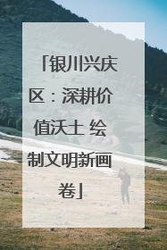 银川兴庆区：深耕价值沃土 绘制文明新画卷