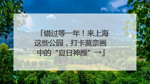 错过等一年！来上海这些公园，打卡莫奈画中的“夏日神颜”→
