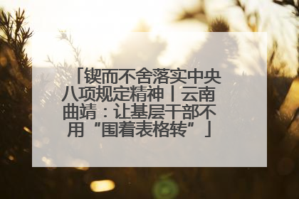 锲而不舍落实中央八项规定精神丨云南曲靖：让基层干部不用“围着表格转”