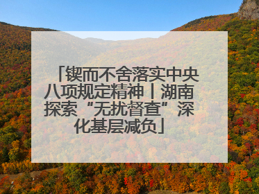 锲而不舍落实中央八项规定精神丨湖南探索“无扰督查”深化基层减负