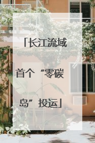 长江流域首个“零碳岛”投运