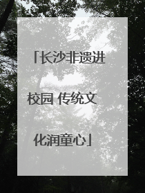 长沙非遗进校园 传统文化润童心