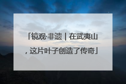镜观·非遗｜在武夷山，这片叶子创造了传奇