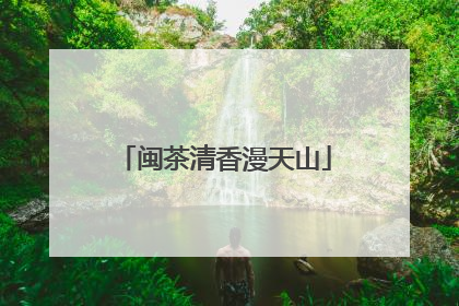 闽茶清香漫天山
