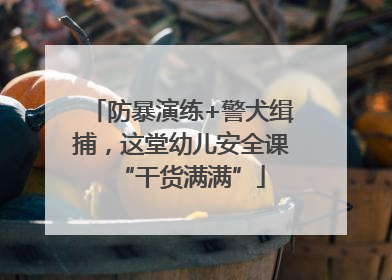 防暴演练+警犬缉捕，这堂幼儿安全课“干货满满”