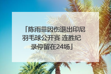陈雨菲因伤退出印尼羽毛球公开赛 连胜纪录停留在24场