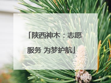 陕西神木：志愿服务 为梦护航