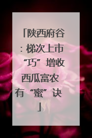 陕西府谷：梯次上市“巧”增收 西瓜富农有“蜜”诀
