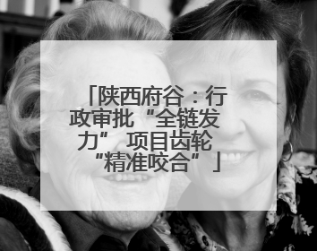 陕西府谷：行政审批“全链发力” 项目齿轮“精准咬合”