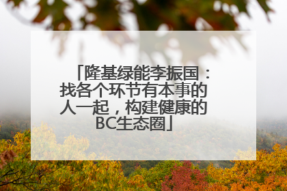 隆基绿能李振国：找各个环节有本事的人一起，构建健康的BC生态圈