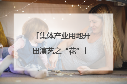 集体产业用地开出演艺之“花”