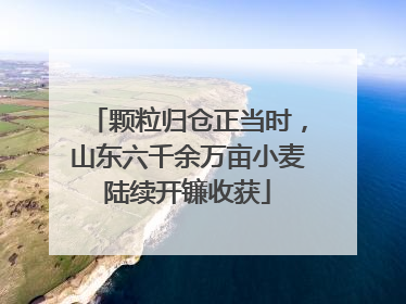 颗粒归仓正当时，山东六千余万亩小麦陆续开镰收获