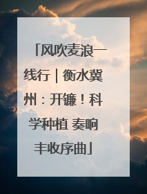 风吹麦浪一线行｜衡水冀州：开镰！科学种植 奏响丰收序曲