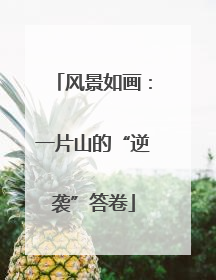 风景如画：一片山的“逆袭”答卷