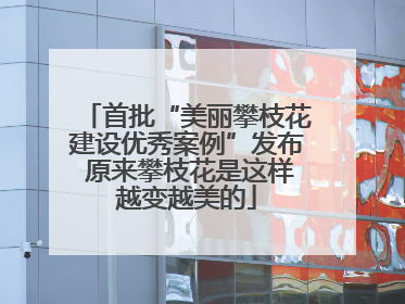 首批“美丽攀枝花建设优秀案例”发布 原来攀枝花是这样越变越美的