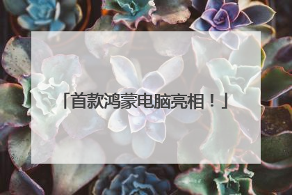 首款鸿蒙电脑亮相！