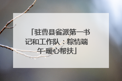 驻曹县省派第一书记和工作队：粽情端午·暖心帮扶