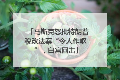 马斯克怒批特朗普税改法案“令人作呕”，白宫回击