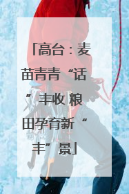高台：麦苗青青“话”丰收 粮田孕育新“丰”景