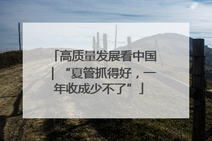 高质量发展看中国｜“夏管抓得好，一年收成少不了”