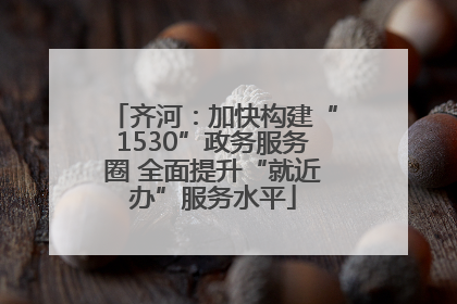齐河：加快构建“1530”政务服务圈 全面提升“就近办”服务水平