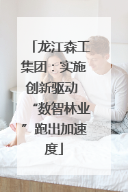 龙江森工集团：实施创新驱动 “数智林业”跑出加速度