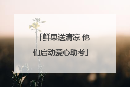 鲜果送清凉 他们启动爱心助考