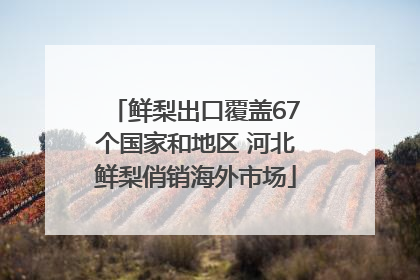 鲜梨出口覆盖67个国家和地区 河北鲜梨俏销海外市场