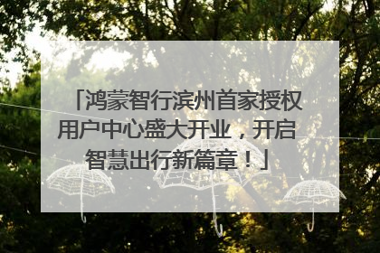 鸿蒙智行滨州首家授权用户中心盛大开业，开启智慧出行新篇章！