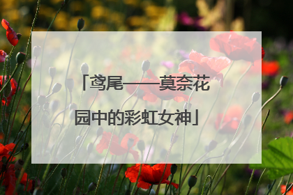 鸢尾——莫奈花园中的彩虹女神