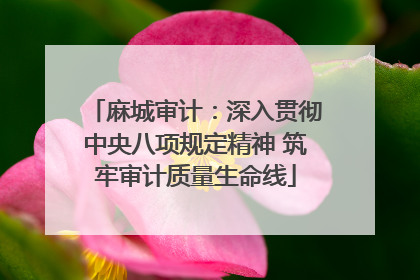 麻城审计：深入贯彻中央八项规定精神 筑牢审计质量生命线