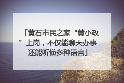 黄石市民之家“黄小政”上岗，不仅能聊天办事还能听懂多种语言