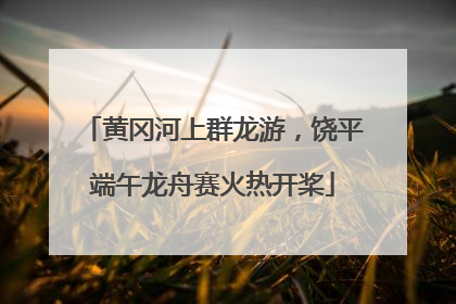 黄冈河上群龙游，饶平端午龙舟赛火热开桨