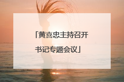 黄喜忠主持召开书记专题会议
