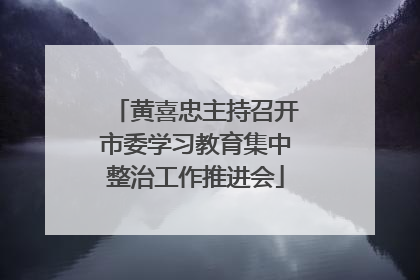 黄喜忠主持召开市委学习教育集中整治工作推进会