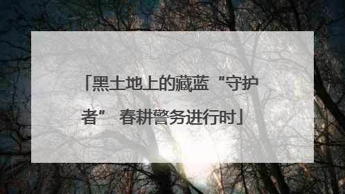 黑土地上的藏蓝“守护者” 春耕警务进行时