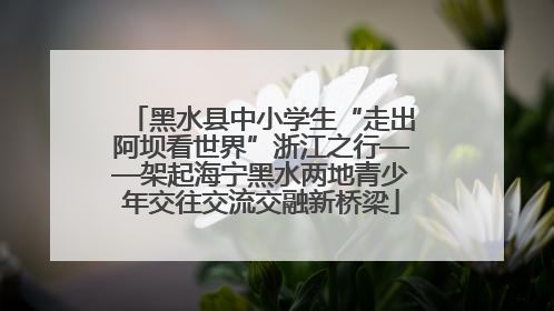 黑水县中小学生“走出阿坝看世界”浙江之行——架起海宁黑水两地青少年交往交流交融新桥梁