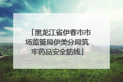 黑龙江省伊春市市场监管局伊美分局筑牢药品安全防线