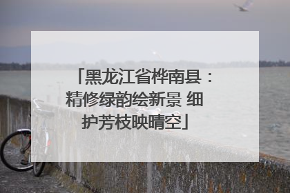 黑龙江省桦南县：精修绿韵绘新景 细护芳枝映晴空