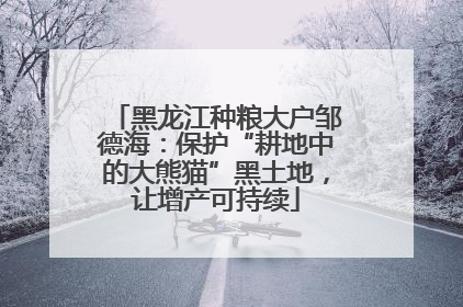 黑龙江种粮大户邹德海：保护“耕地中的大熊猫”黑土地，让增产可持续