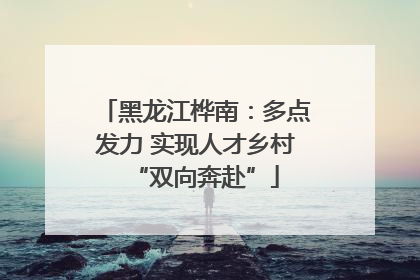 黑龙江桦南：多点发力 实现人才乡村“双向奔赴”