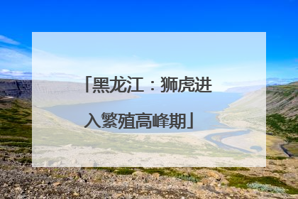 黑龙江：狮虎进入繁殖高峰期