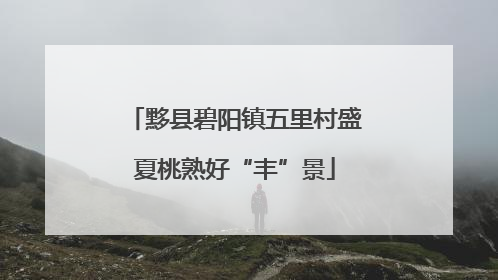 黟县碧阳镇五里村盛夏桃熟好“丰”景