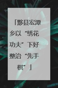 黟县宏潭乡以“绣花功夫”下好整治“先手棋”