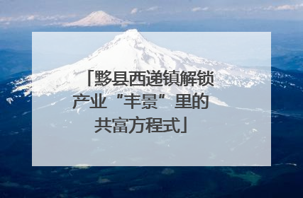 黟县西递镇解锁产业“丰景”里的共富方程式