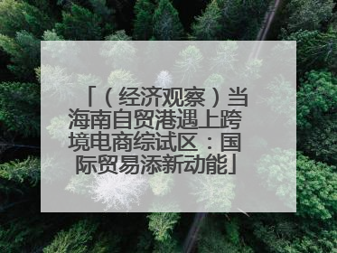 （经济观察）当海南自贸港遇上跨境电商综试区：国际贸易添新动能